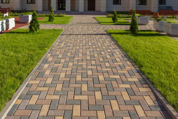 Best Driveway Paving Contractor  in Falcon Heights, MN