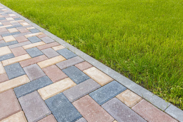 Best Driveway Pavers Near Me  in Falcon Heights, MN